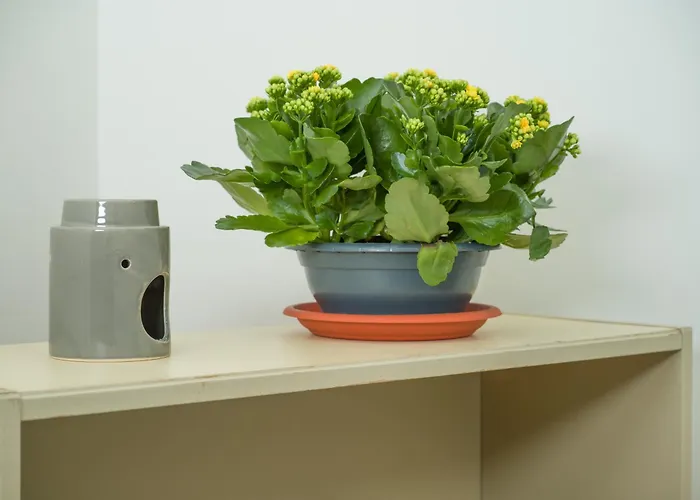 - Casetta Del Pescatore דירה *